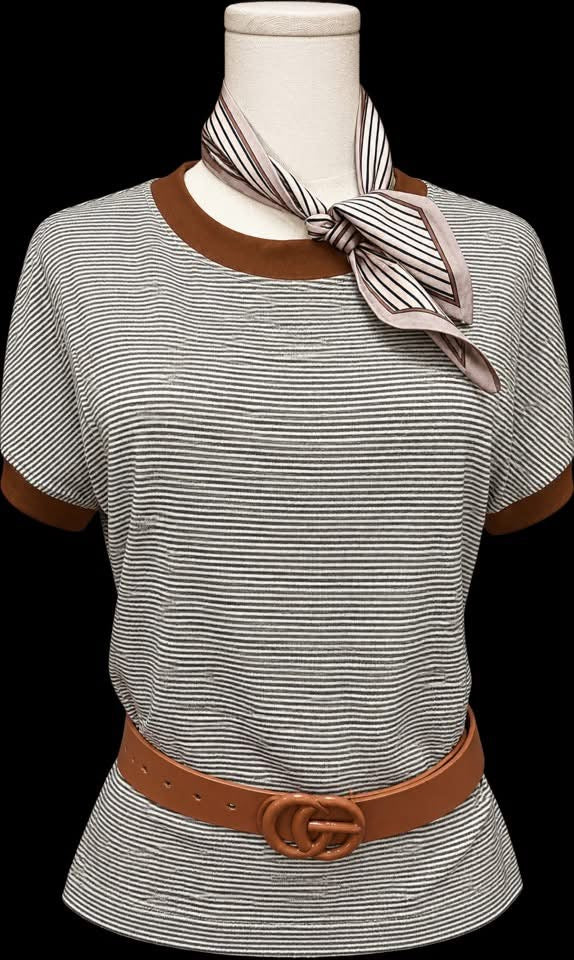 Striped top with brown accents on sleeves and neckline
